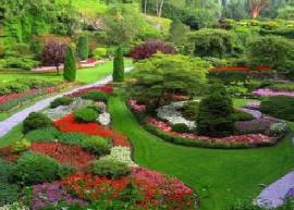 Bahçe Bakımı Ve Peyzaj | E-Devlet Onaylı