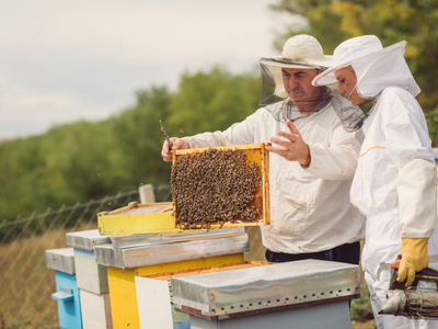 Arıcılık Eğitimi | E-Devlet Onaylı