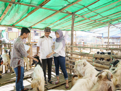 Hayvan Alım Satım Elemanı Eğitimi | E-Devlet Onaylı